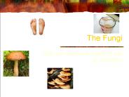 The Fungi