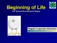 Beginning of Life 4-H School Enrichment Project PowerPoint PPT Presentation