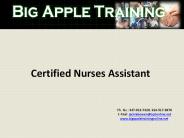 Certified Nurses Assistant