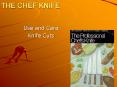 THE CHEF KNIFE PowerPoint PPT Presentation