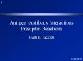 Antigen -Antibody Interactions Precipitin Reactions PowerPoint PPT Presentation