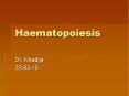 Haematopoiesis PowerPoint PPT Presentation