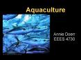 Aquaculture PowerPoint PPT Presentation