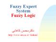 Fuzzy Expert System Fuzzy Logic PowerPoint PPT Presentation