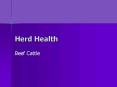 Herd Health PowerPoint PPT Presentation