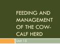 Feeding and Management of the Cow-Calf Herd PowerPoint PPT Presentation