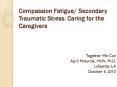 Compassion Fatigue/ Secondary Traumatic Stress: Caring for the Caregivers PowerPoint PPT Presentation