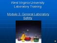 West Virginia University Laboratory Training  Module 3. General Laboratory Safety PowerPoint PPT Presentation
