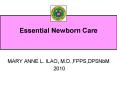 Essential Newborn Care PowerPoint PPT Presentation