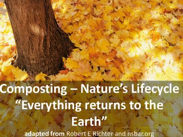 presentation player overlay