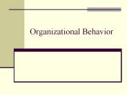 Organizational Behavior