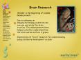 Brain Research PowerPoint PPT Presentation