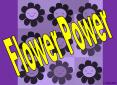 Flower Power PowerPoint PPT Presentation