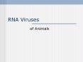 RNA Viruses PowerPoint PPT Presentation