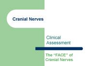 Cranial Nerves