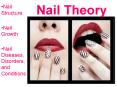 Nail Theory PowerPoint PPT Presentation