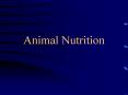 Animal Nutrition PowerPoint PPT Presentation