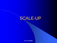 SCALE-UP
