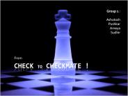 Check to Checkmate !