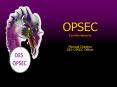 OPSEC PowerPoint PPT Presentation