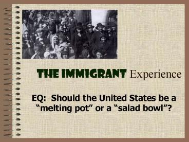 The Immigrant Experience