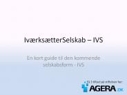 IVS - Ivaerksaetterselskab