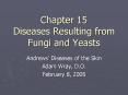 Chapter 15 Diseases Resulting from Fungi and Yeasts PowerPoint PPT Presentation