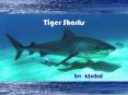 Tiger Sharks PowerPoint PPT Presentation