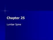 Lumbar Spine