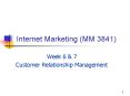 Internet Marketing (MM 3841) PowerPoint PPT Presentation