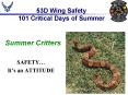 53D Wing Safety 101 Critical Days of Summer PowerPoint PPT Presentation
