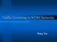 Traffic Grooming in WDM Networks PowerPoint PPT Presentation