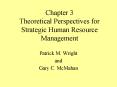 Chapter 3 Theoretical Perspectives for Strategic Human Resource Management PowerPoint PPT Presentation