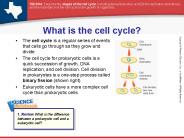What is the cell cycle?