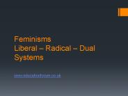 Feminisms Liberal 