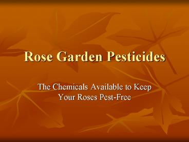 Rose Garden Pesticides