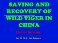 SAVING AND RECOVERY OF WILD TIGER IN CHINA PowerPoint PPT Presentation