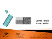 Perfecting the Carbon Nanotube Forest
