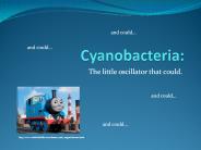 Cyanobacteria:
