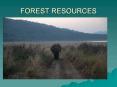 FOREST RESOURCES PowerPoint PPT Presentation