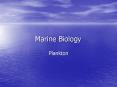 Marine Biology PowerPoint PPT Presentation