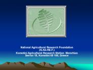 National Agricultural Research Foundation (N.AG.RE.F.)