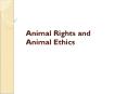 Animal Rights and Animal Ethics PowerPoint PPT Presentation