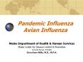 Pandemic Influenza Avian Influenza PowerPoint PPT Presentation
