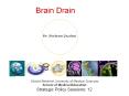 Brain Drain PowerPoint PPT Presentation