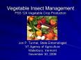 Vegetable Insect Management PSS 124 Vegetable Crop Production PowerPoint PPT Presentation
