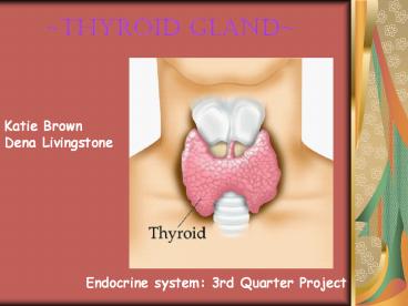 ~Thyroid Gland~