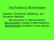 The Process of Microevolution