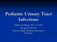 Pediatric Urinary Tract Infections PowerPoint PPT Presentation