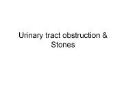 Urinary tract obstruction